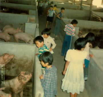 하북초등학교 현장체험학습 - 1983년 대표이미지