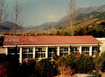 상북초등학교 학교전경 - 1981년 대표이미지