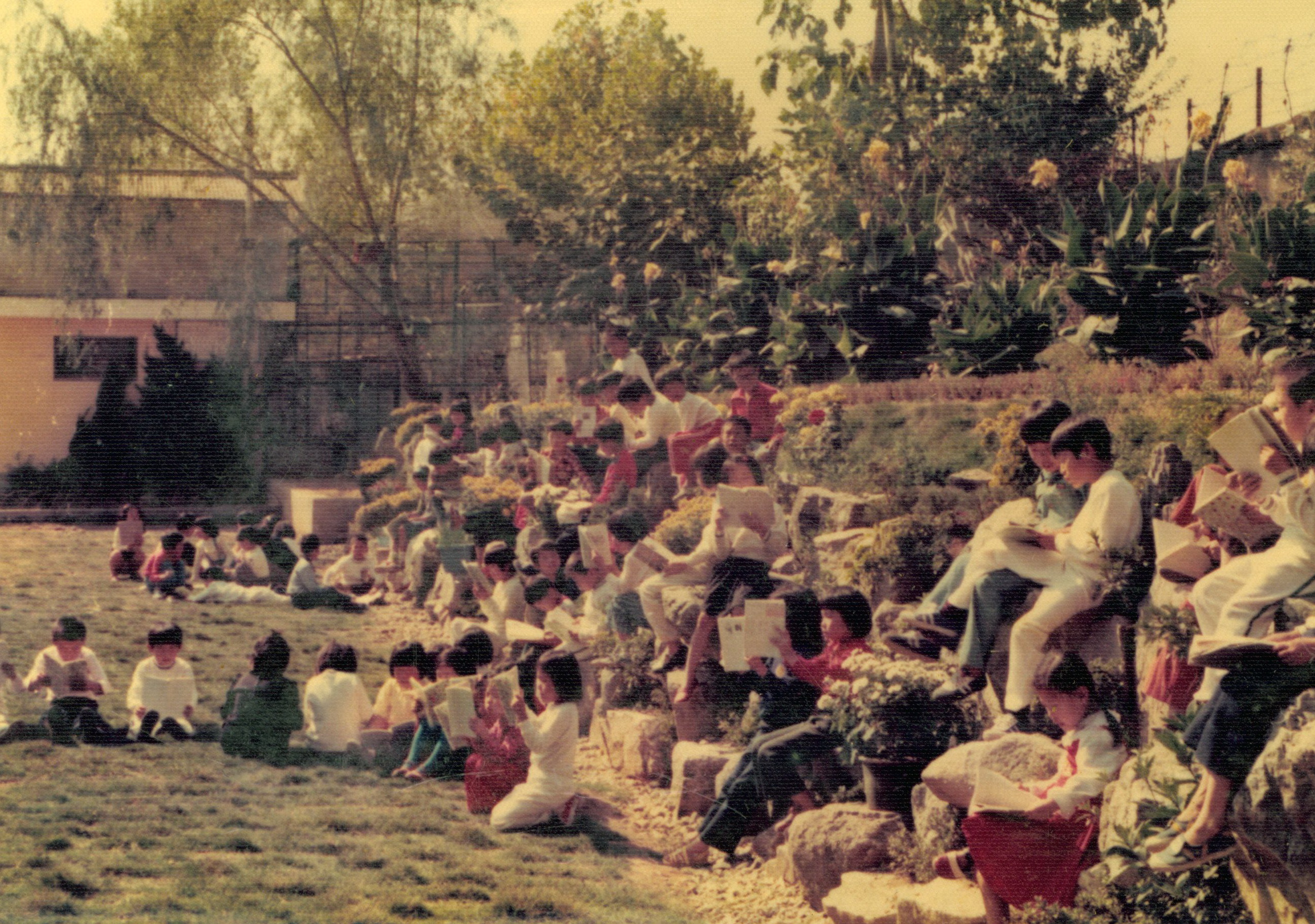 합포초등학교 야외 현장학습 - 1979년