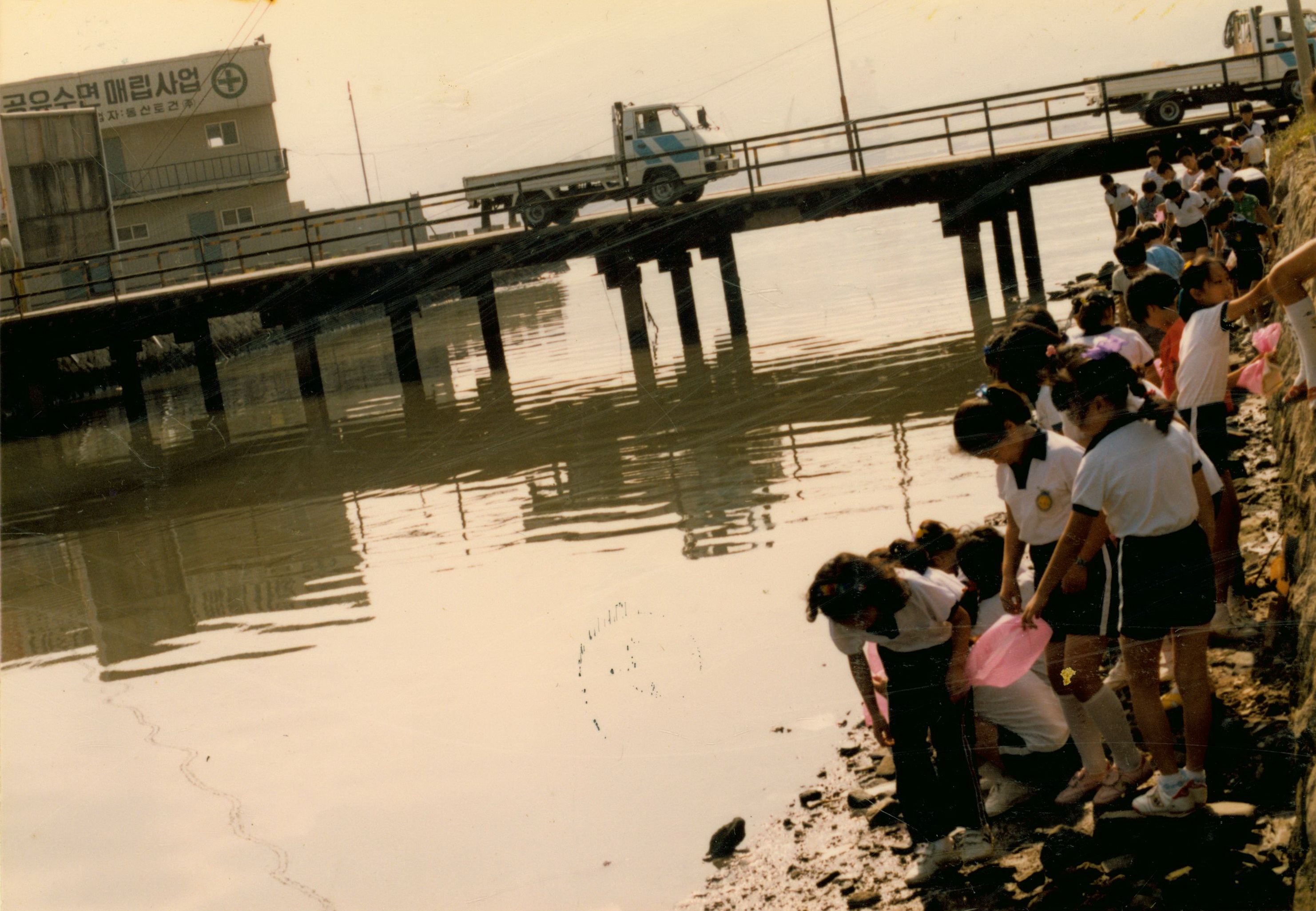 합포초등학교 마산만 보호 캠페인 - 1989년