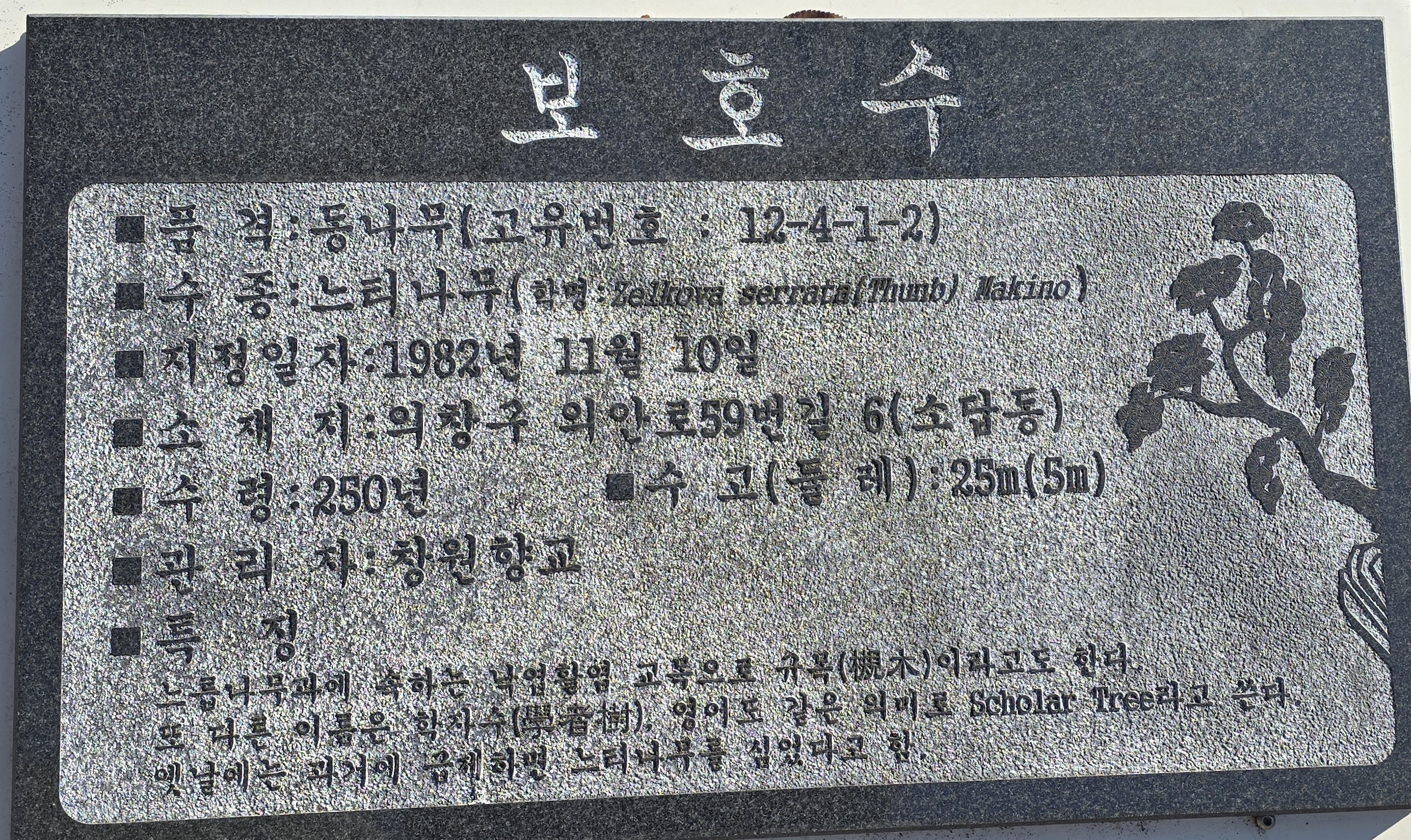 창원유치원 보호수
