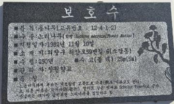 창원유치원 보호수